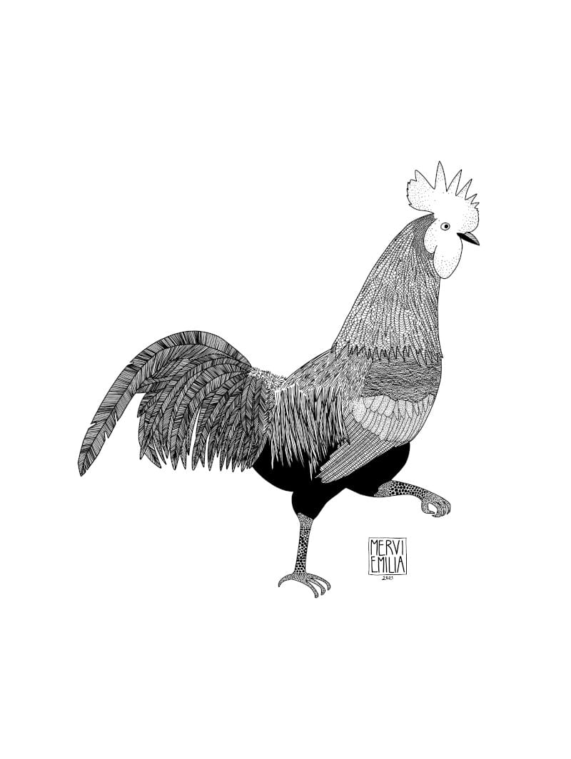 Rooster, line art style black and white illustration of a fancy rooster with big tail and left foot lifted up by Mervi Emilia Eskelinen