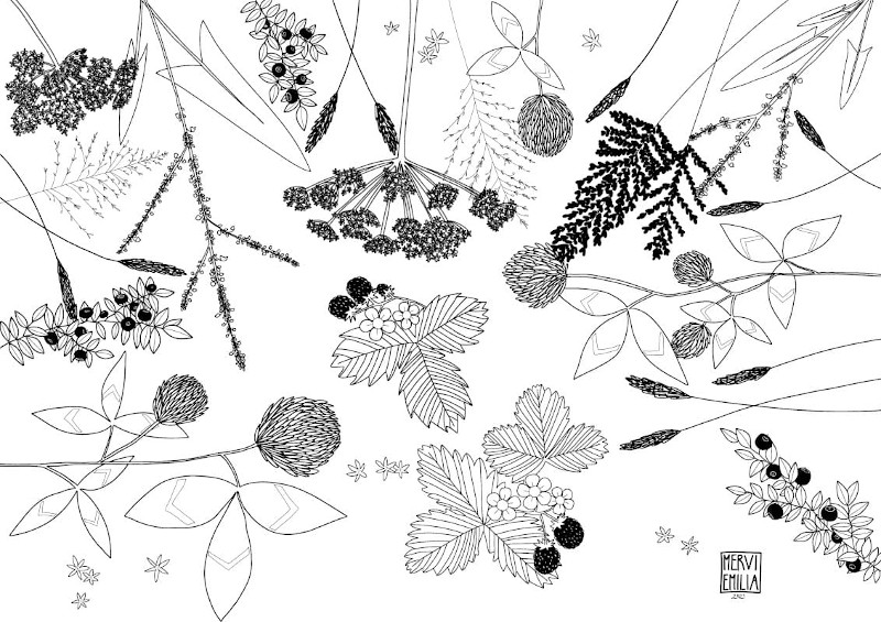 Wild Herbs & Berries, black and white line drawing style illustration wild herbs, strawberry plants and blueberry plants by Mervi Emilia Eskelinen